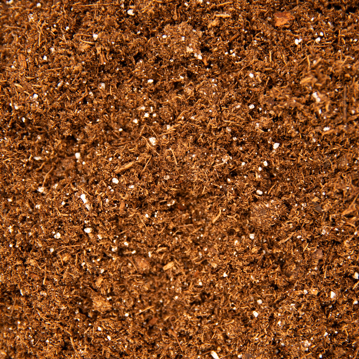 Sustrato para Germinación